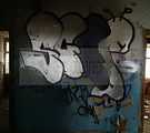 heilanstalt milbitz graffiti_048